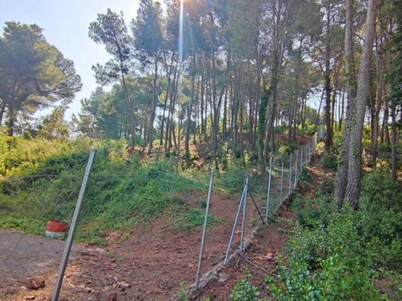 Imagen 3 de TERRENO DE 4156M2 EDIFICABLE EN CERVELLO.