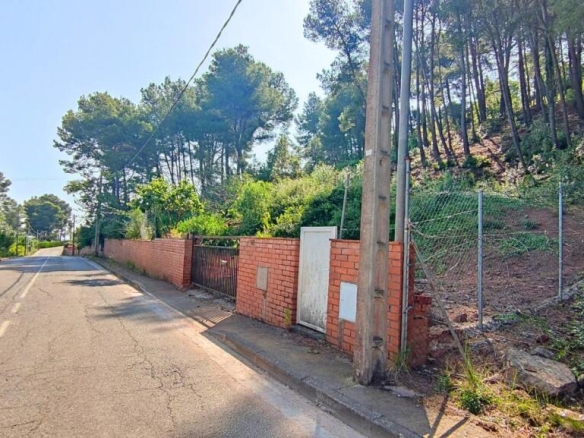 Imagen 4 de TERRENO DE 4156M2 EDIFICABLE EN CERVELLO.