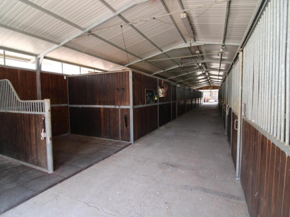 Imagen 3 de Terreno hipica en Almenara