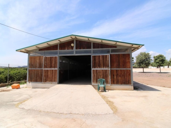 Imagen 1 de Terreno hipica en Almenara