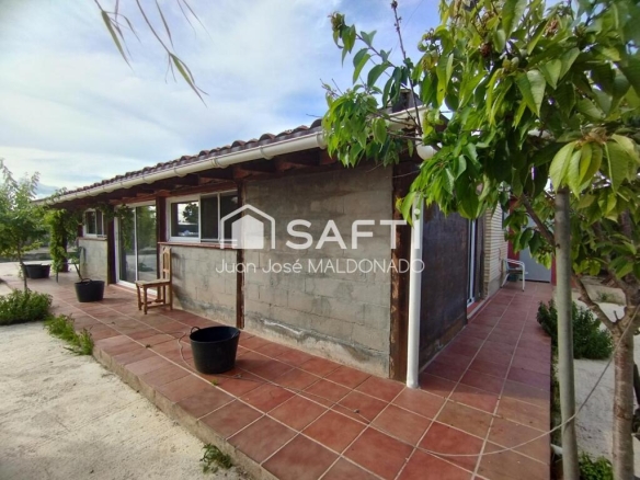 Imagen 2 de Vive libre