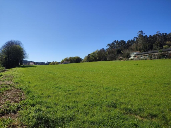 Imagen 3 de Finca edificable