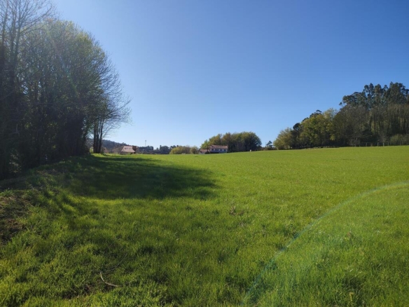 Imagen 4 de Finca edificable