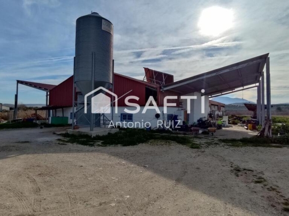 Imagen 2 de Granja con terreno de unos 20.000 m² y posibilidad de concesión de 200 ha de pastos. Zona Donadio. SIN COMISIÓN DE COMPRA.