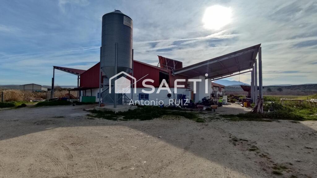 Imagen 2 de Granja con terreno de unos 20.000 m² y posibilidad de concesión de 200 ha de pastos. Zona Donadio. SIN COMISIÓN DE COMPRA.