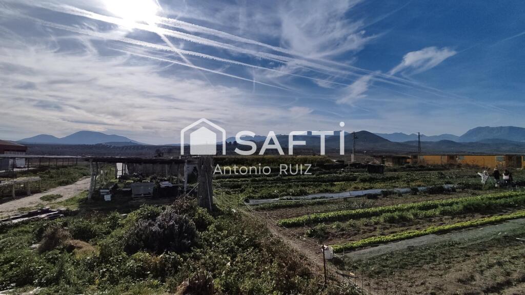 Imagen 3 de Granja con terreno de unos 20.000 m² y posibilidad de concesión de 200 ha de pastos. Zona Donadio. SIN COMISIÓN DE COMPRA.