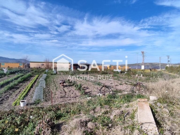 Imagen 4 de Granja con terreno de unos 20.000 m² y posibilidad de concesión de 200 ha de pastos. Zona Donadio. SIN COMISIÓN DE COMPRA.
