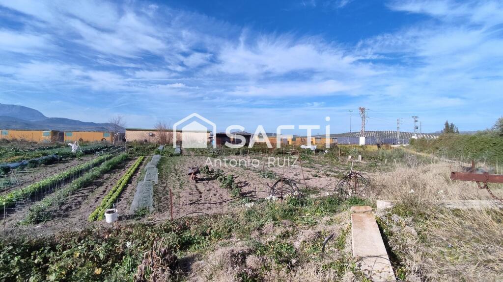 Imagen 4 de Granja con terreno de unos 20.000 m² y posibilidad de concesión de 200 ha de pastos. Zona Donadio. SIN COMISIÓN DE COMPRA.