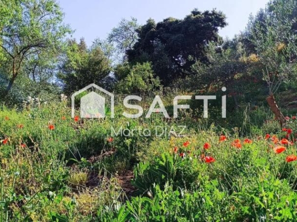 Imagen 1 de ¡Tu refugio en la sierra