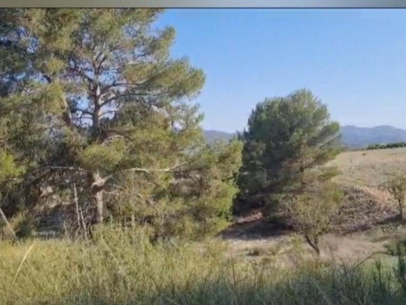 Imagen 2 de Terreno de 250.000m² edificable situado en Lorca.