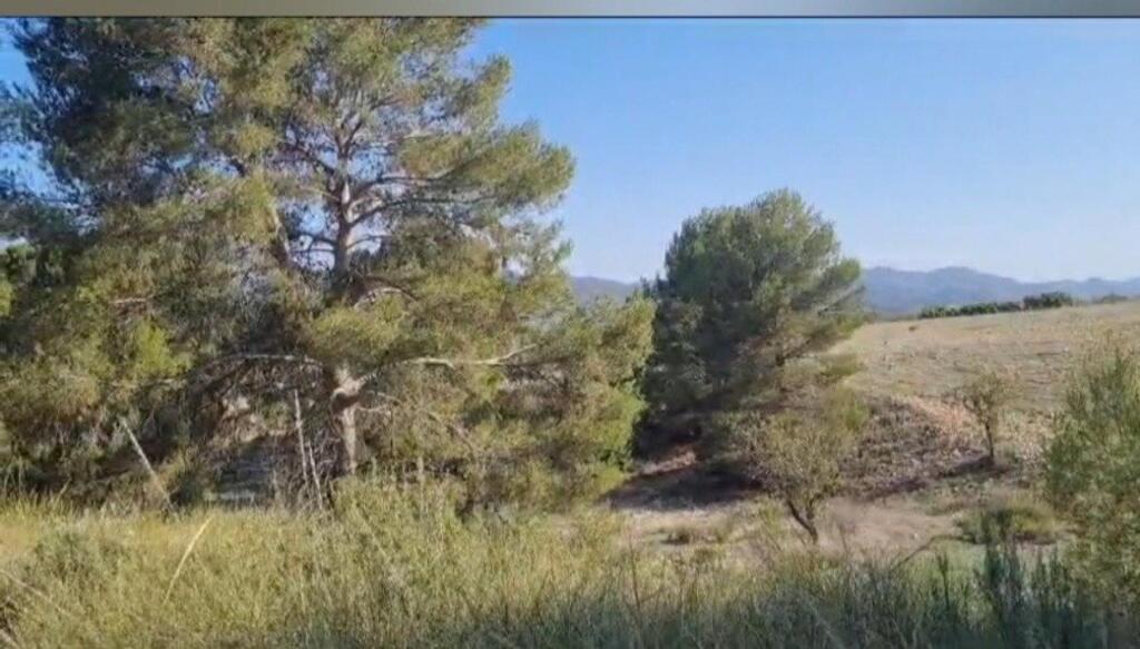 Imagen 2 de Terreno de 250.000m² edificable situado en Lorca.