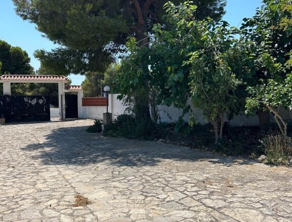 Imagen 4 de Espectacular chalet independiente en Alcanar playa