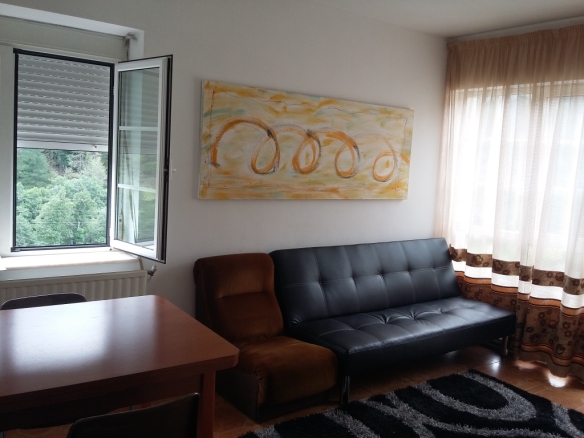 Imagen 3 de Piso en Alquiler en San Antolin De Ibias Asturias