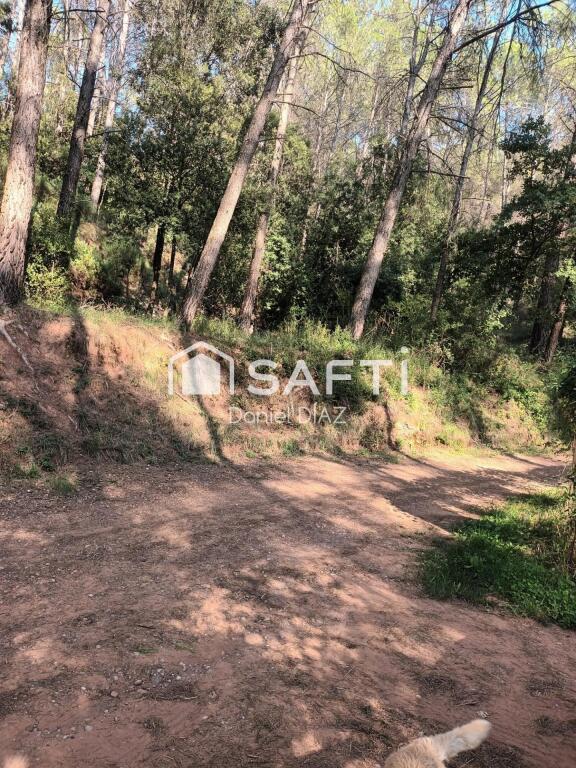 Imagen 3 de terreno en venta de 2 hectareas