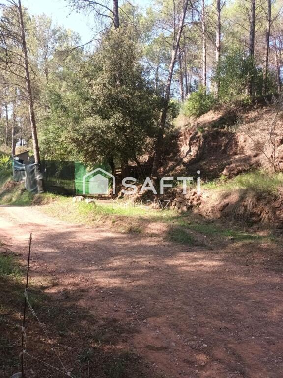 Imagen 4 de terreno en venta de 2 hectareas