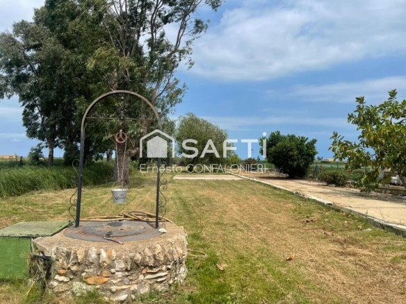 Imagen 2 de Finca rustica vallada  con olivos