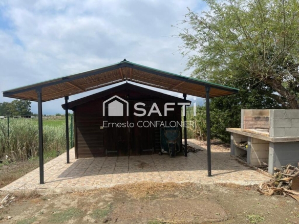 Imagen 1 de Finca rustica vallada  con olivos