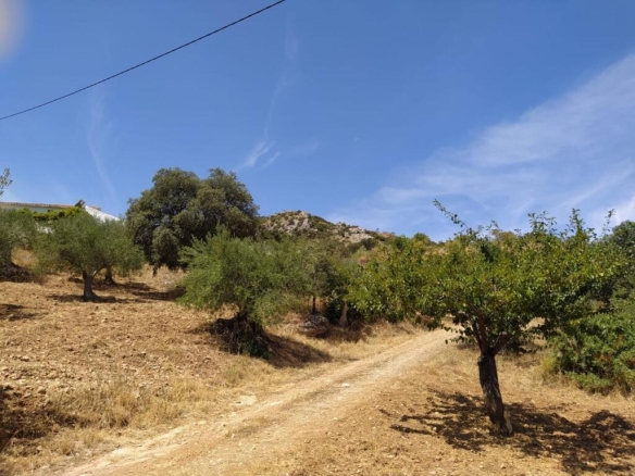 Imagen 2 de Finca (130hc) en Ardales junto al Caminito del Rey