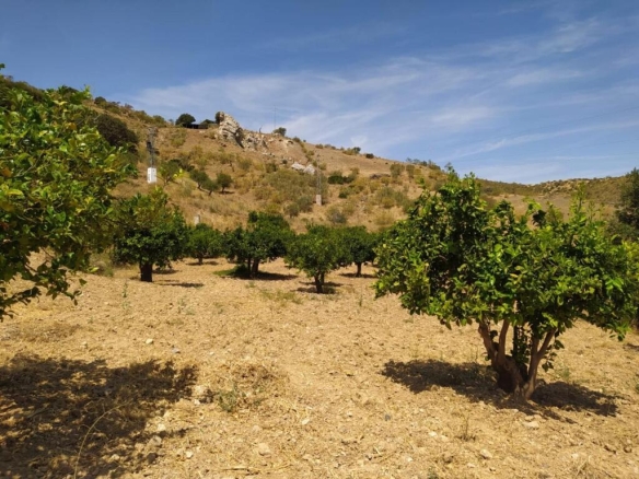 Imagen 3 de Finca (130hc) en Ardales junto al Caminito del Rey