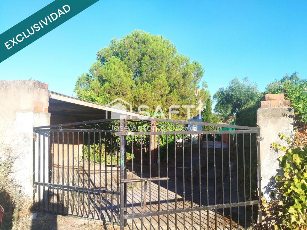 Imagen 4 de Venta de dos Lejíos juntos en la zona de la Zafrilla EL Ejido. Suman 3250m2 con casa y piscina. Excelente relación calidad precio. Mejor ven a verlos. Terreno fértil y con abundante agua.