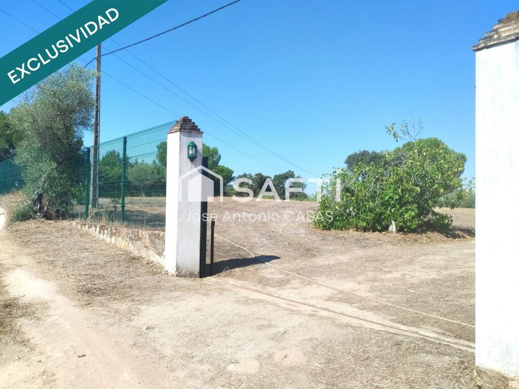 salón con chimenea francesa