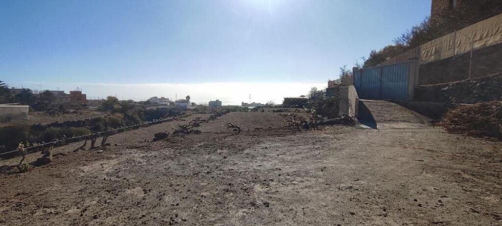 Imagen 2 de Terreno rústico en Granadilla con acceso rodado
