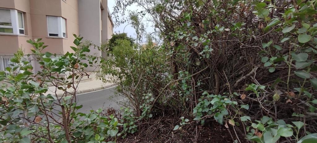 Imagen 2 de Solar urbano en Venta en Fasnia Santa Cruz de Tenerife