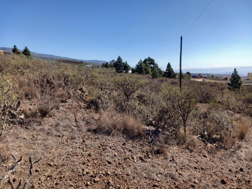 Imagen 2 de Bonito terreno en zona las Chozas