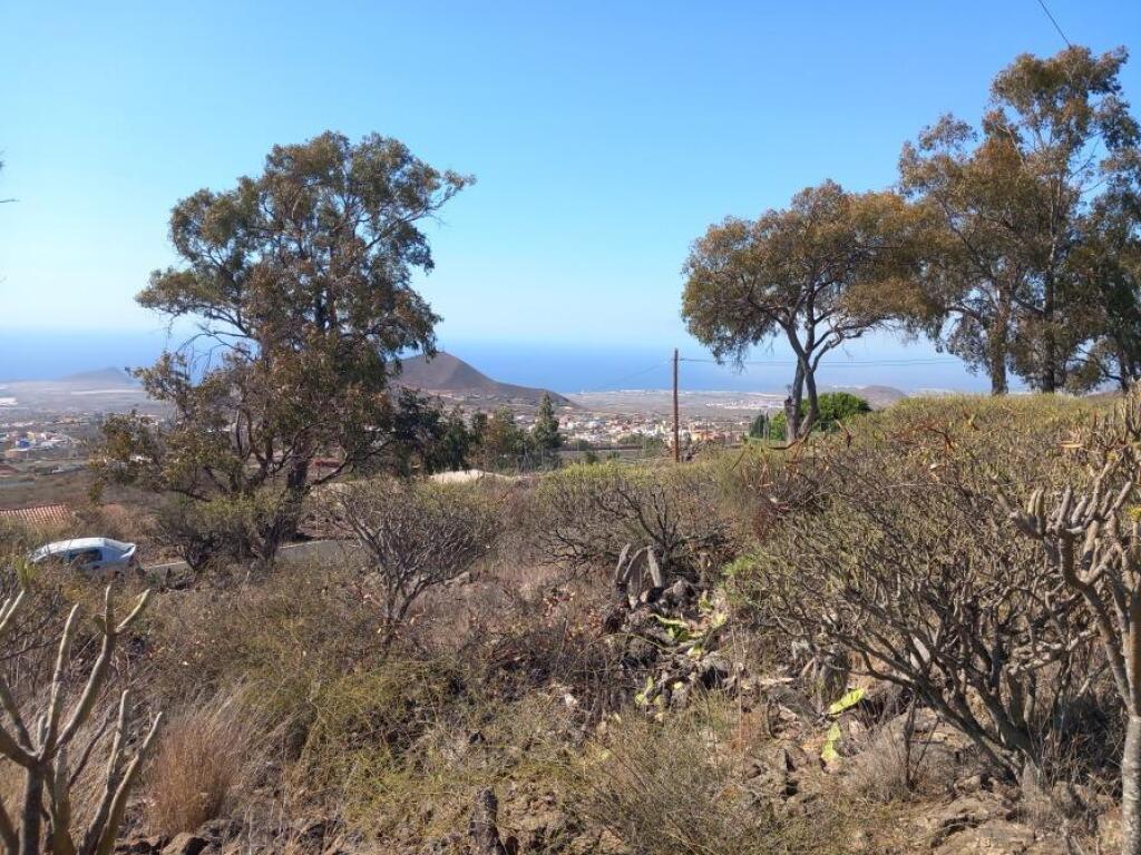 Granadilla de Abona