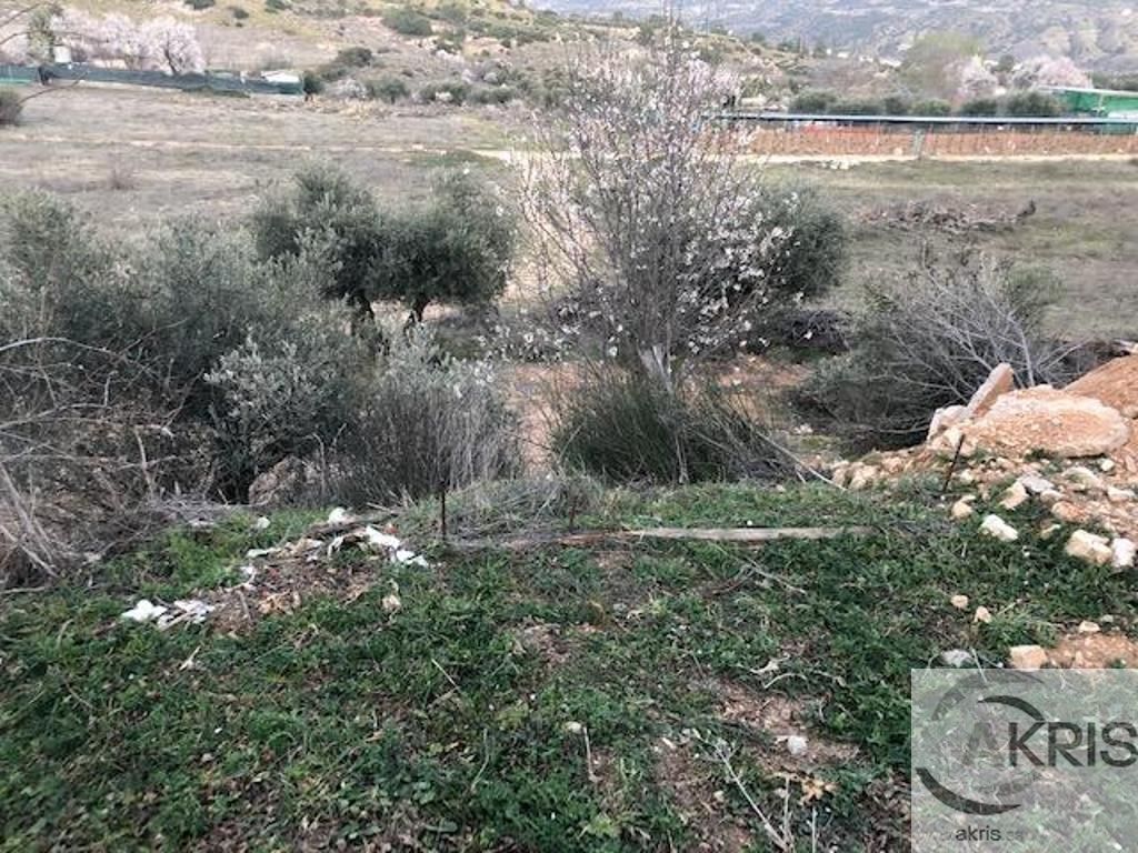 Imagen 2 de TERRENO RUSTICO EN CARABAÑA