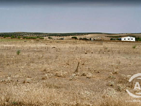 Imagen 1 de Terreno en venta en Nambroca de 16044 m2 - El Club del Propietario Imagen 1 de Terreno en venta en Nambroca de 16044 m2