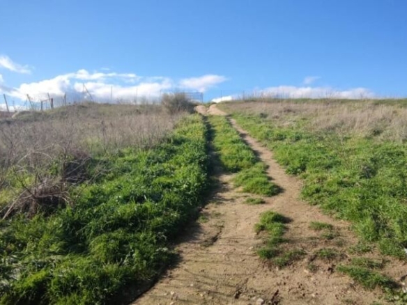 Imagen 2 de TERRENO URBANO NO CONSOLIDADO EN MENTRIDA