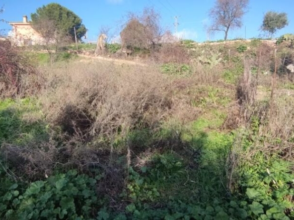 Imagen 3 de TERRENO URBANO NO CONSOLIDADO EN MENTRIDA