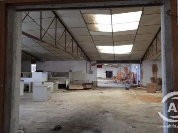 Imagen 2 de Terreno en venta OKUPADO