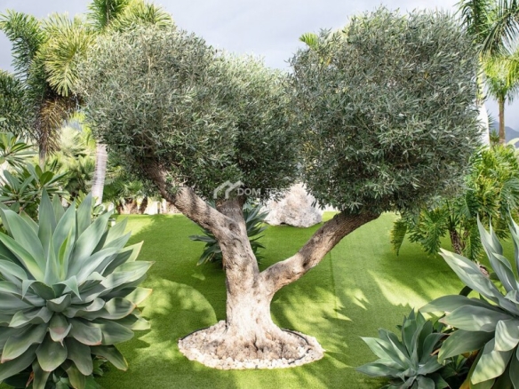 Imagen 3 de Casa-Chalet en Venta en Adeje Santa Cruz de Tenerife