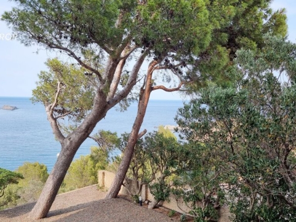 Imagen 3 de Casa en Llançà