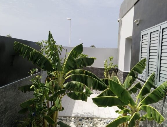 Imagen 3 de Casa-Chalet en Venta en Tuineje Las Palmas