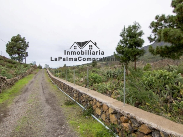 Imagen 2 de Solar residencial en Venta en Paso