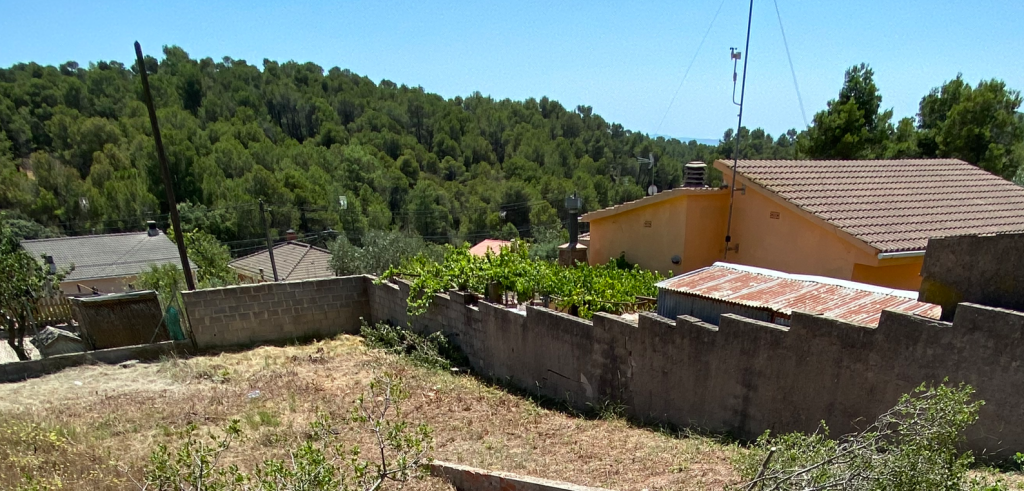 El Barcelona El Barcelona