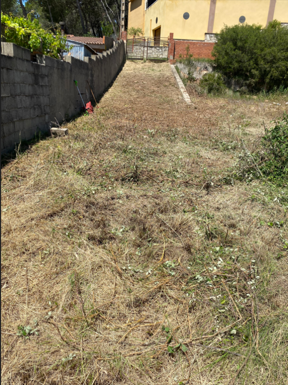 El Barcelona El Barcelona