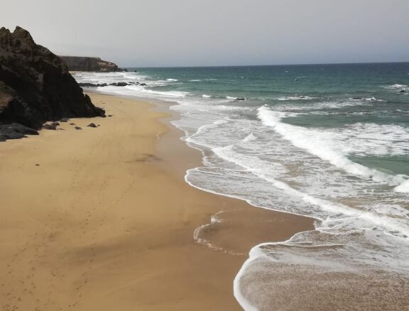 Imagen 1 de Parcela en Venta en Pajara Las Palmas