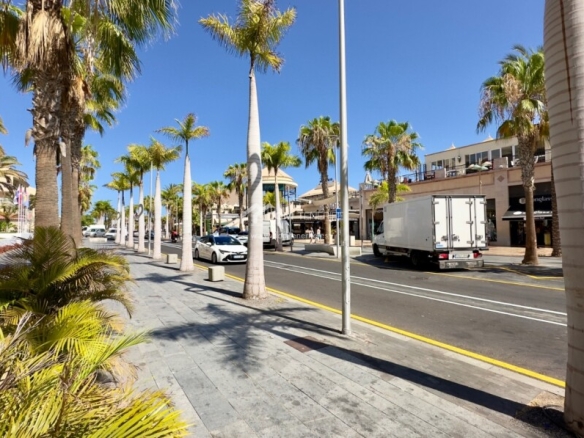 Imagen 3 de Apartamento en Alquiler en Arona Santa Cruz de Tenerife