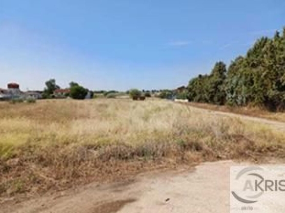 Imagen 1 de TERRENO EN LA POBLACION DE UGENA