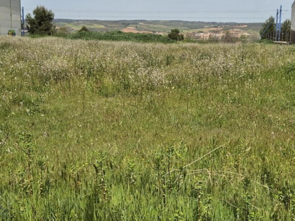 Imagen 2 de TERRENO USO INDUSTRIAL