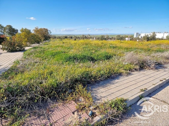 Imagen 4 de Terreno en venta en Olías del Rey de 266 m2