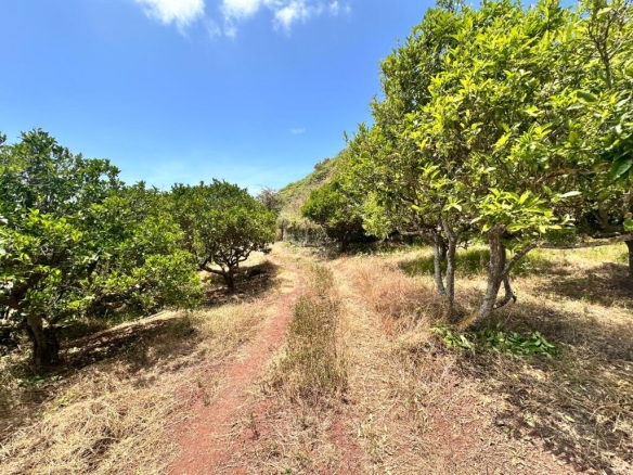 Imagen 2 de Terreno con cueva