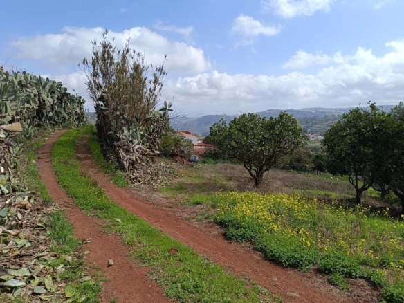 Imagen 3 de Terreno con cueva