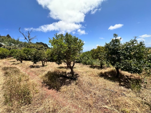 Imagen 4 de Terreno con cueva