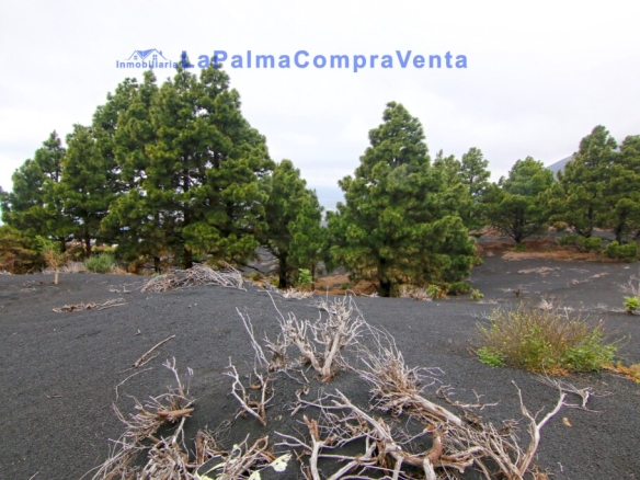 Imagen 2 de Suelo rústico en Venta en Manchas