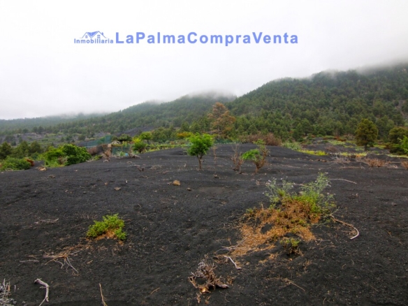 Imagen 1 de Suelo rústico en Venta en Manchas
